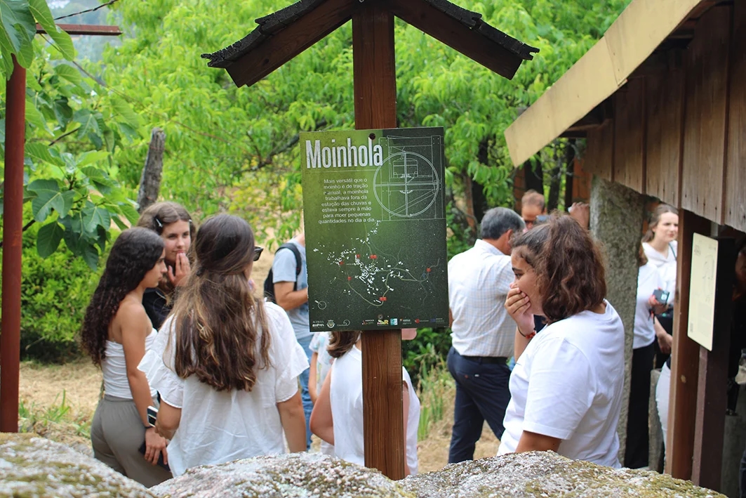 De Vagos a Nelas: 340 quilómetros a conhecer moinhos e gastronomia