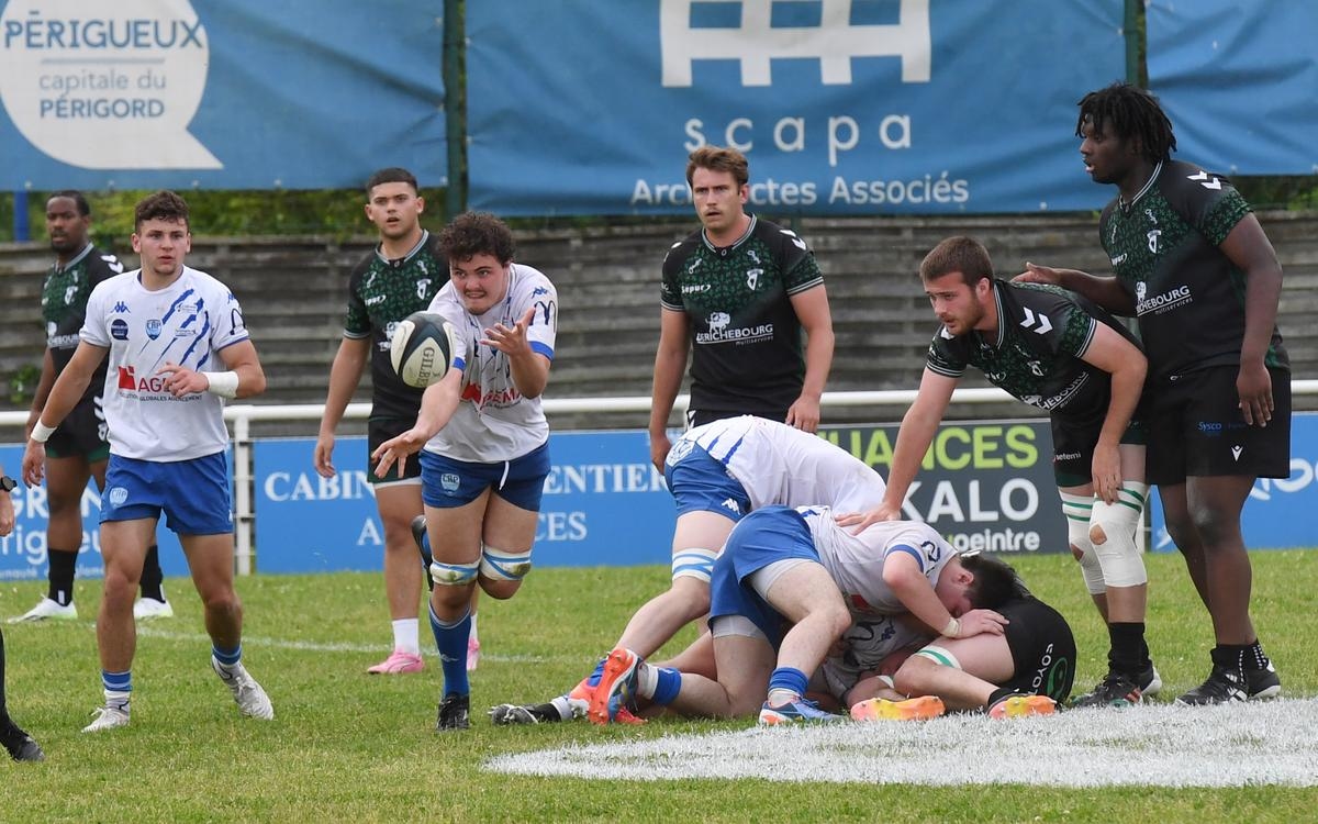 Rugby: Horarios, grupos, ¿qué pasa con las categorías inferiores del CA Périgueux?