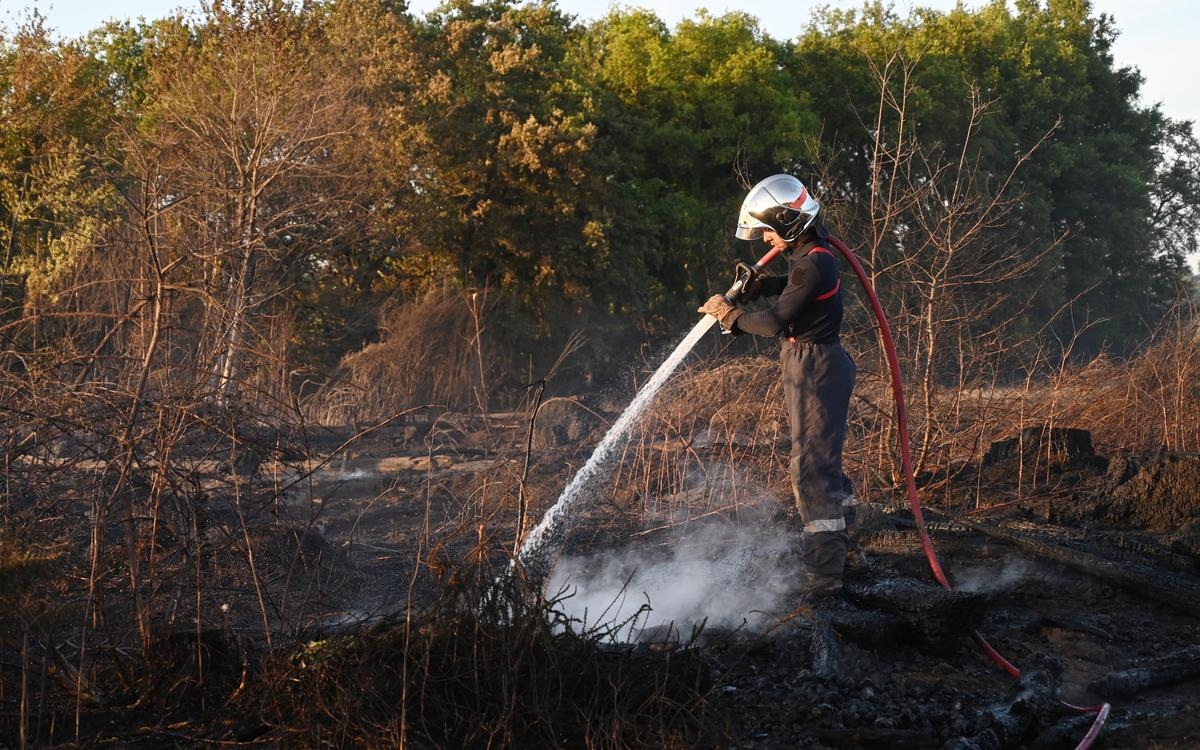 Gaszenie pożarów: „Ludzie nie są wystarczająco świadomi”