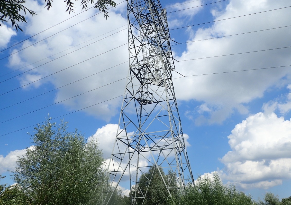 Dutch state sells 46% of grid firm Tennet Germany to investors