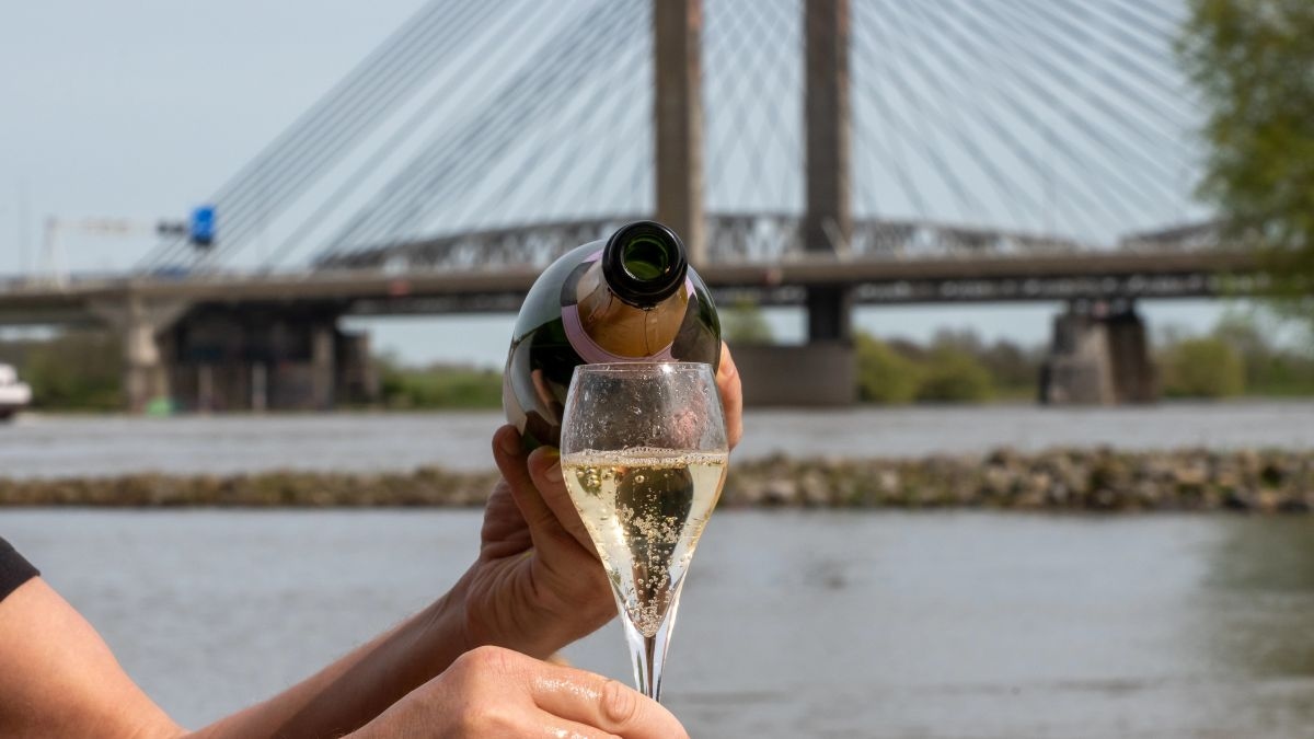 Forget one glass a day: no alcohol is safe, Dutch advisers warn
