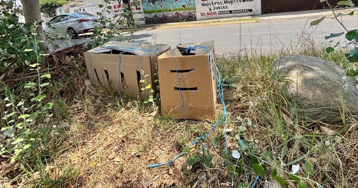Les habitants de Tlalnepantla, Edomex, signalent un abandon et une insécurité accrue.