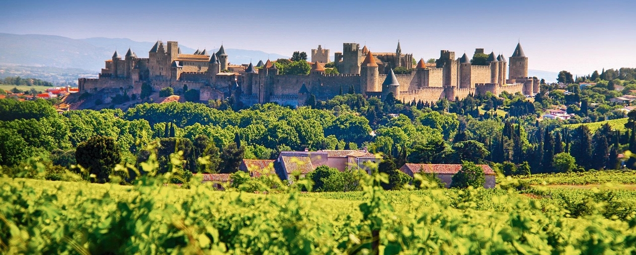 Carcassonne (11). A 36-year-old man stabs another man to death with around fifty stab wounds. He has a “long record” including a murder conviction in 2016.