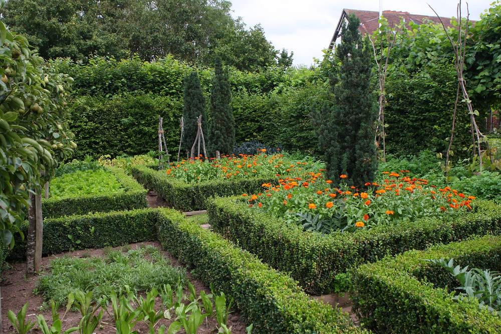 As 13 sebes perenes mais bonitas para o seu jardim