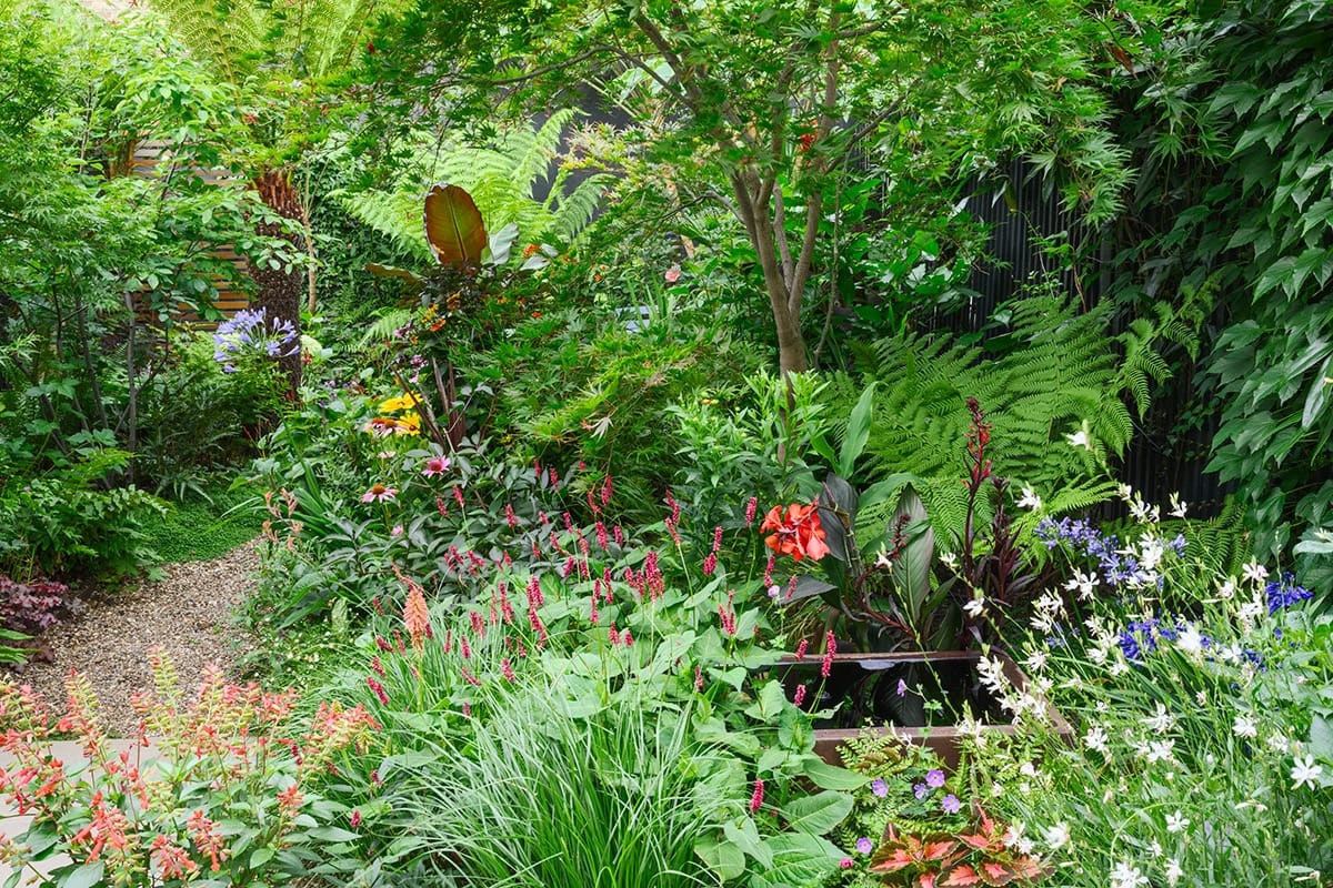 Last van de hitte? Deze 12 planten maken je tuin koeler