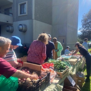Growing the local food system: Grow Food Northampton continues to honor the land and the people who grow on it
