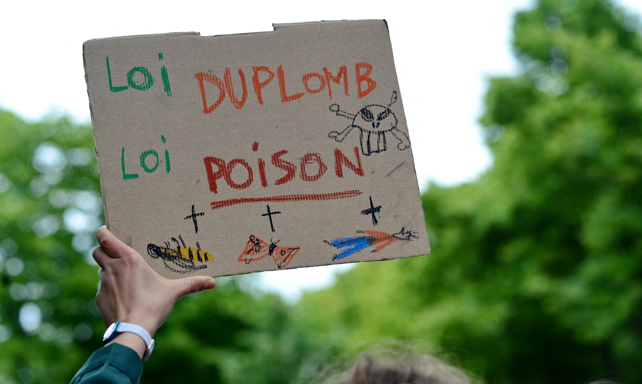 Ley Duplomb: en comisión mixta, RN y macronistas se unen para reconocer los retrocesos ecológicos