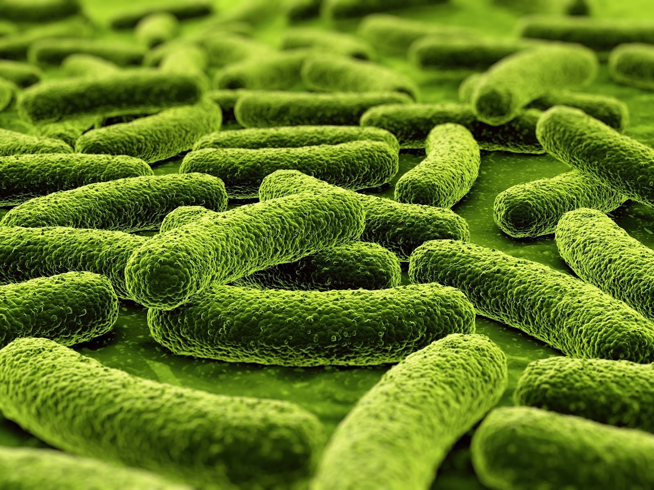 Health, Recognizing Diseases from Body Odor: Mini-sensors for Rapid and Low-Cost Diagnostic Tests