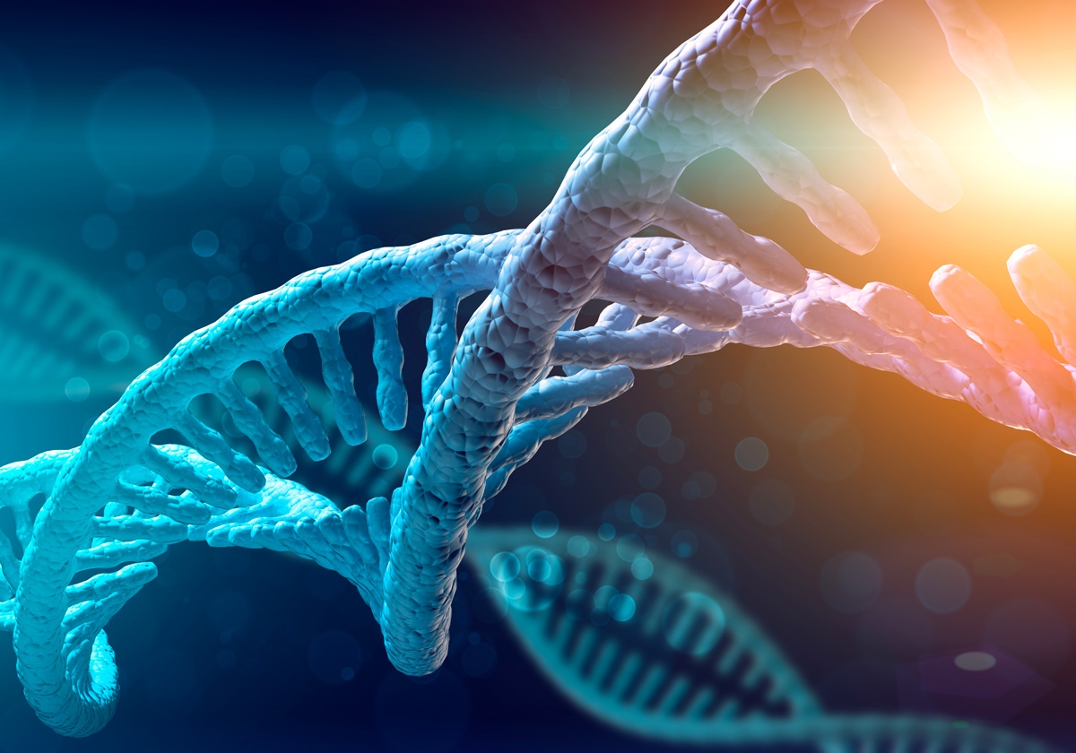 Wetenschap, van een tand tot het genoom van een pottenbakker: het oudste DNA in Egypte gesequenced
