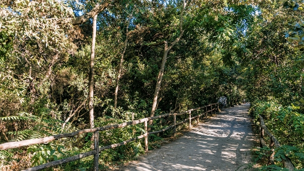 Pinete, così il Comune d’Ischia ha respinto l’ennesimo attacco dei Villari