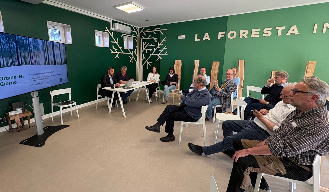 Cluster forestale FVG, assemblea dei soci Legno Servizi: sulle imprese gravano le incombenze europee