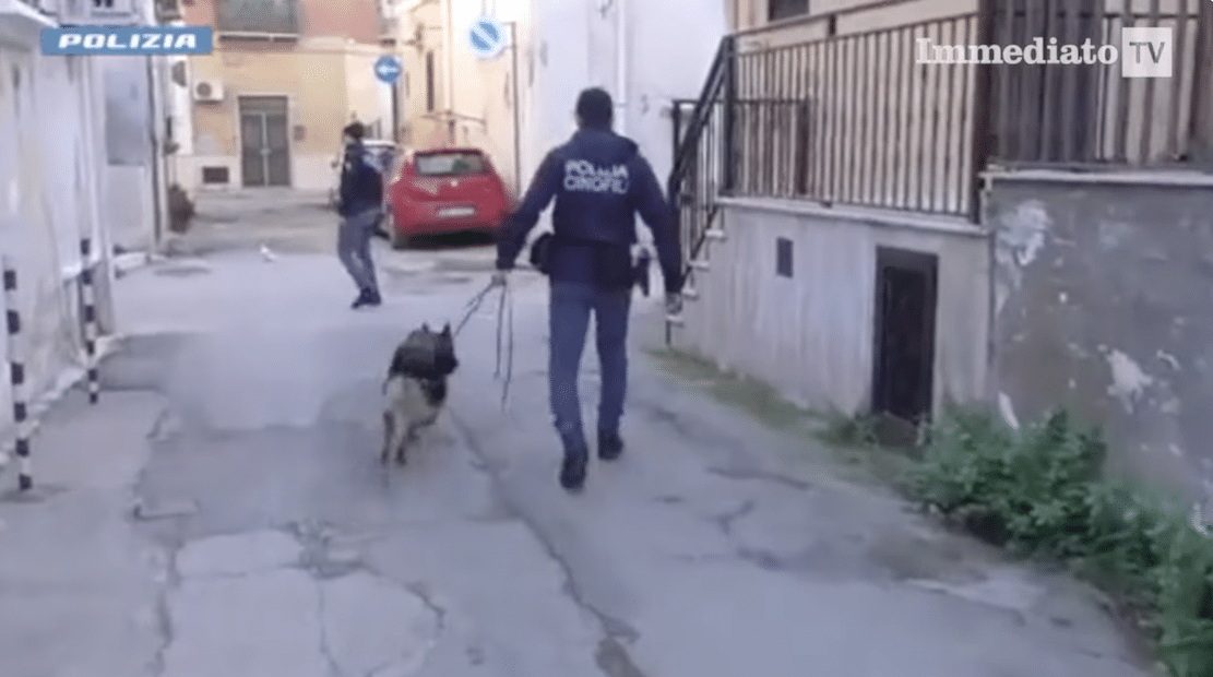 Gargano'dan Adriyatik kıyılarına uyuşturucu kaçakçılığı yapan "Kötü Cüce" tutuklandı: O, kaçakçılığın görünmez yönetmeniydi