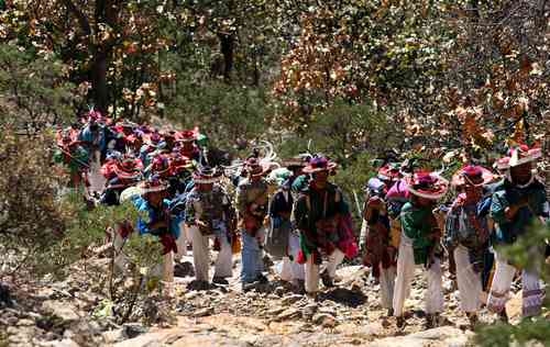 After 26 years, it is decided whether the Wixárika Route will be included on the UNESCO list.
