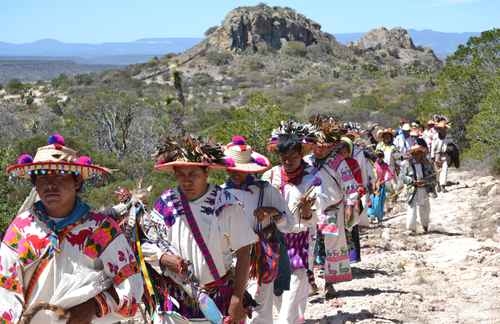 Violence, poverty and threats to their spiritual sites, problems faced by the Wixaritari