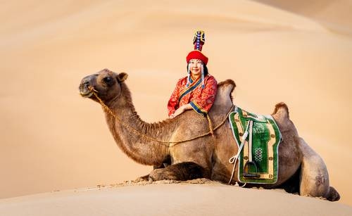 Vier Jahrzehnte mongolei-mexikanische Beziehungen werden mit einer Fotoausstellung gefeiert