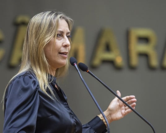 Raadslid neemt leiding over secretariaat Economische Ontwikkeling Porto Alegre over