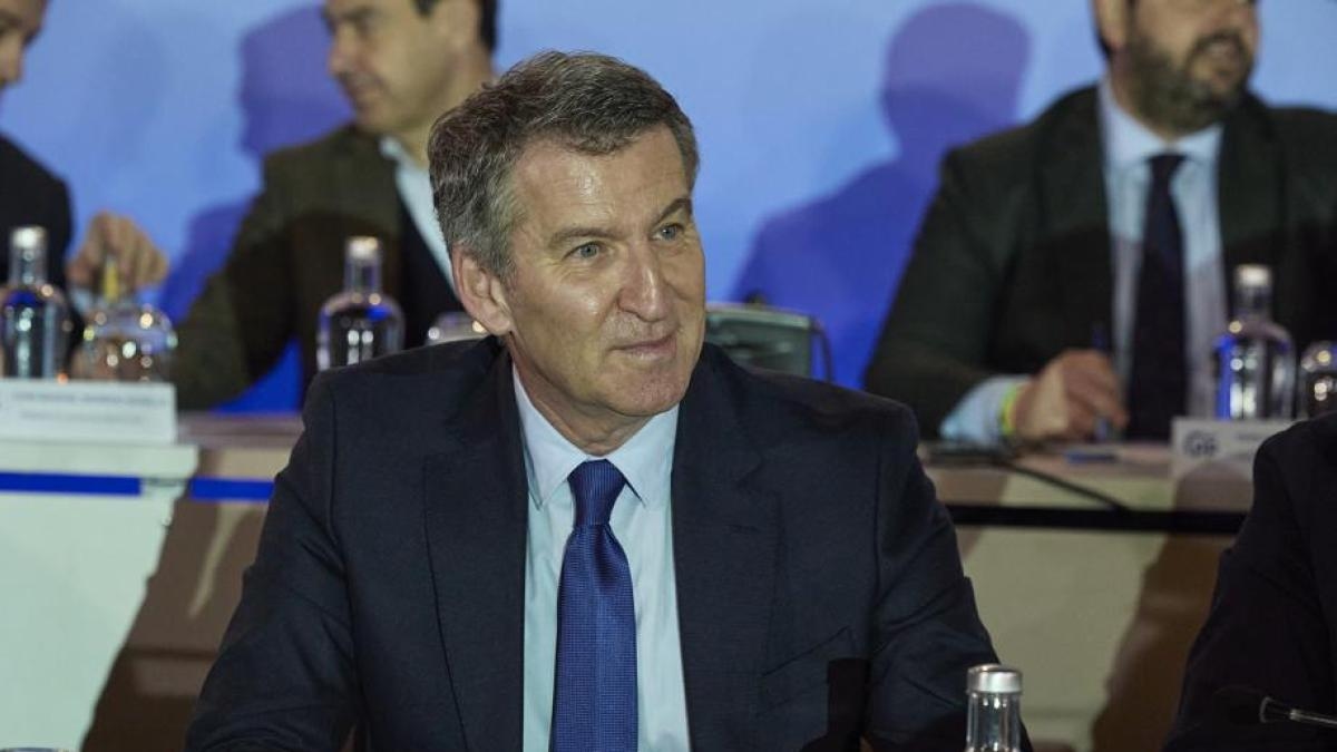 Feijóo valuta la possibilità di convocare il congresso del PP a luglio e analizza i pro e i contro.