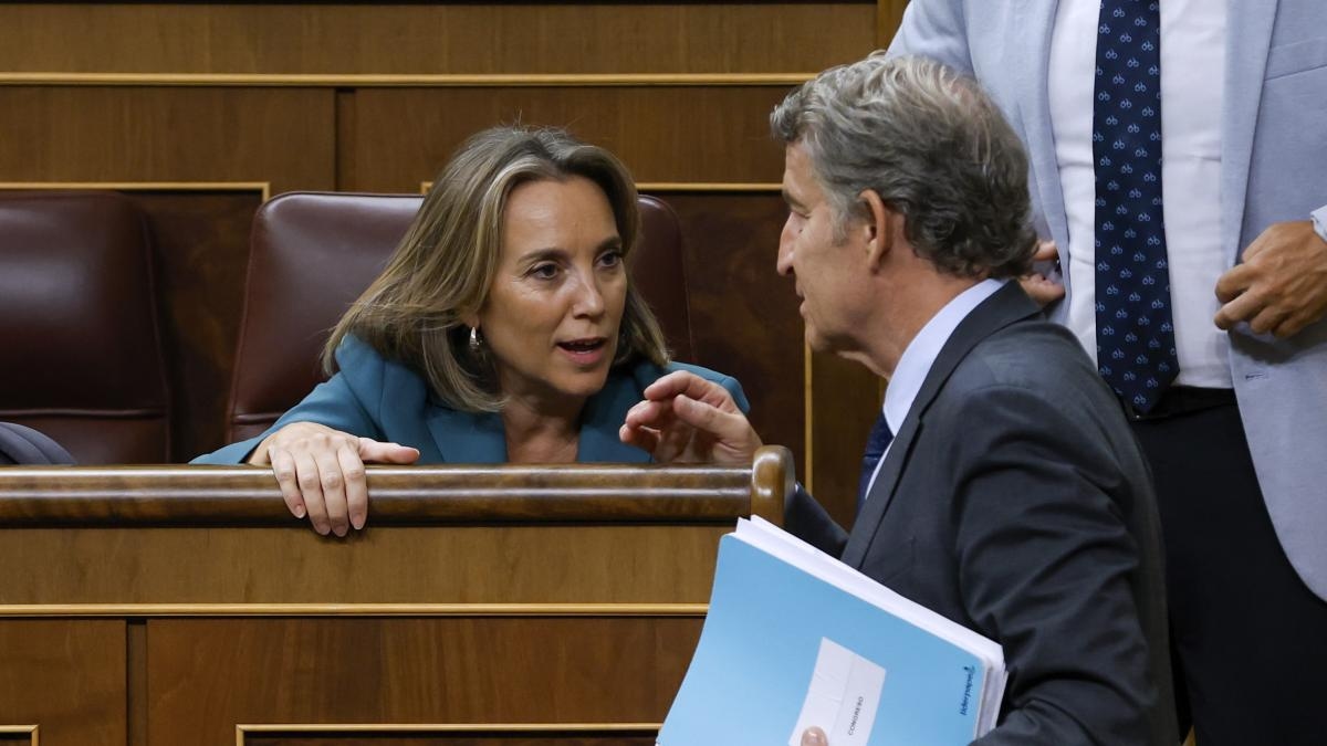 Feijóo seeks a balance between Sánchez and Ayuso's pressure on Israel.