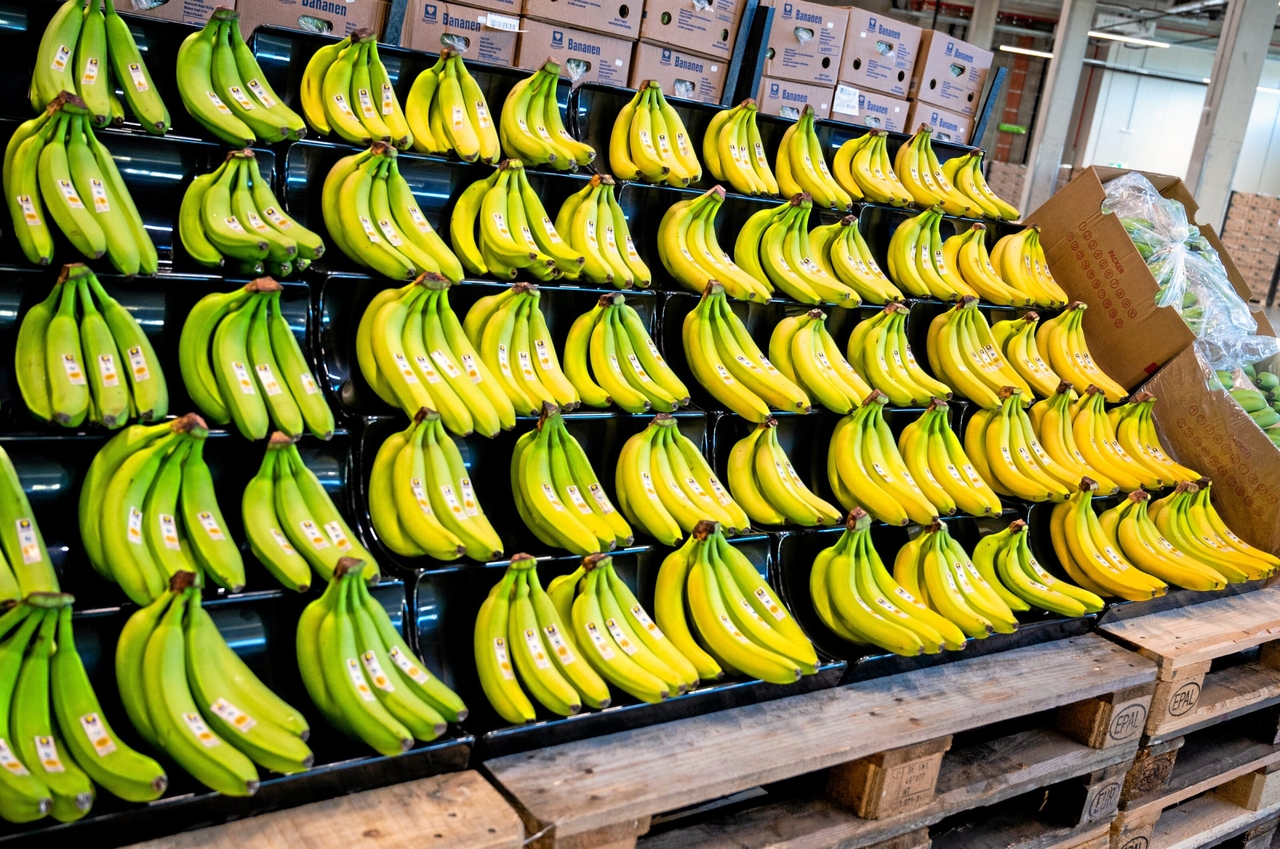 İş hukuku ihlalleri | Kosta Rika: Tedarik zinciri yasasıyla başarı