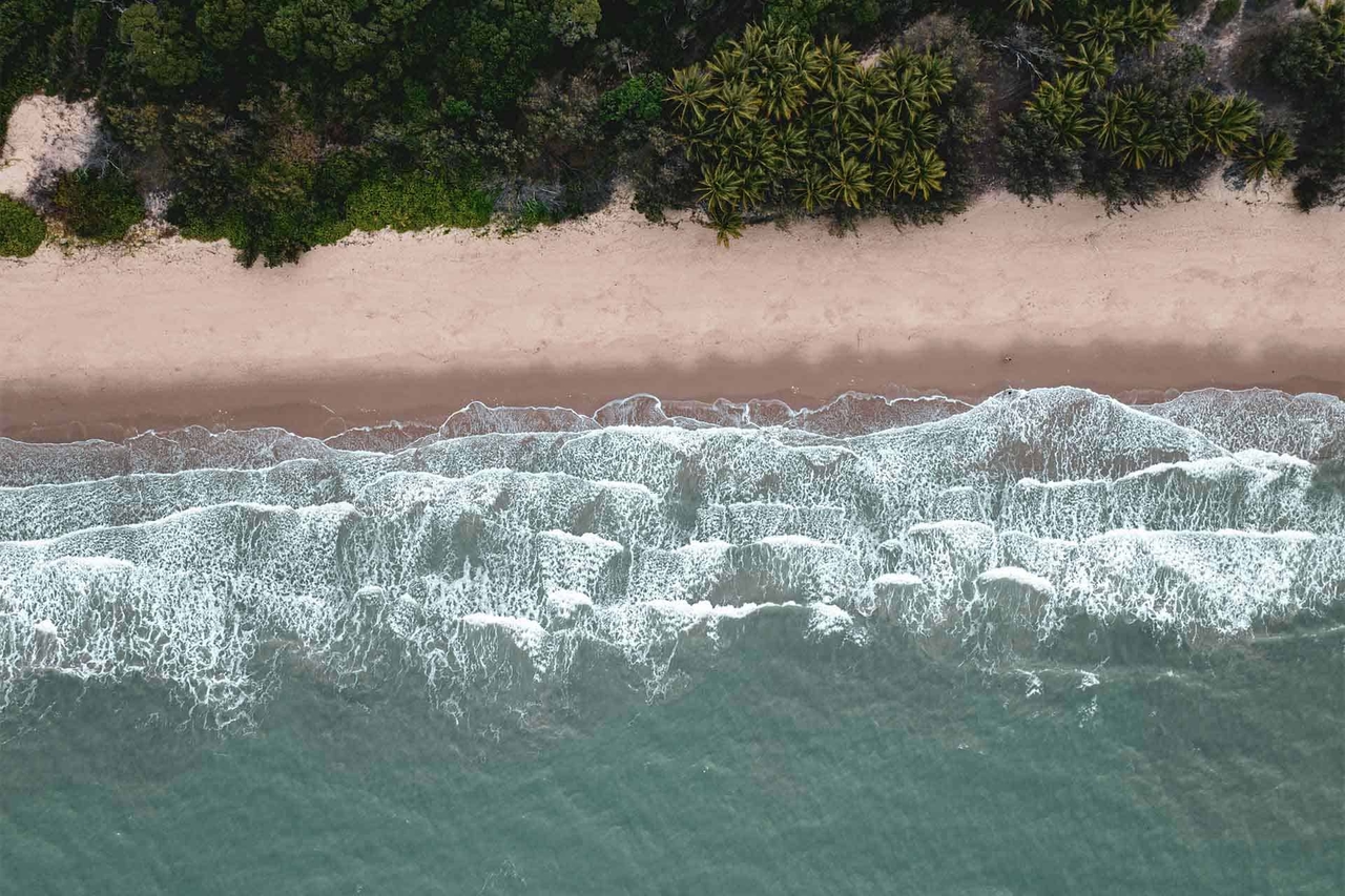 14 najlepszych atrakcji w Port Douglas w Queensland (2025)