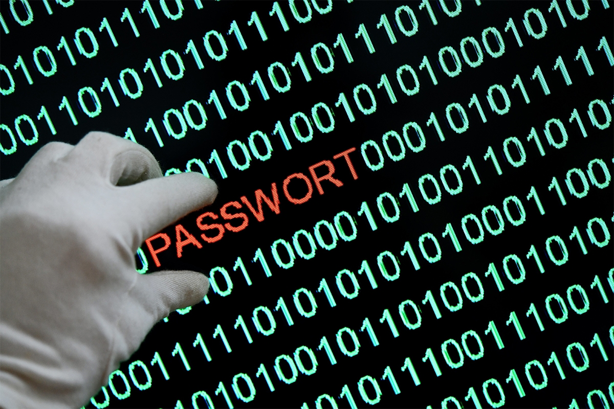 The dark side of the web strikes two Democratic Party members: the complaint by Alessandra Moretti and Valeria Campagna