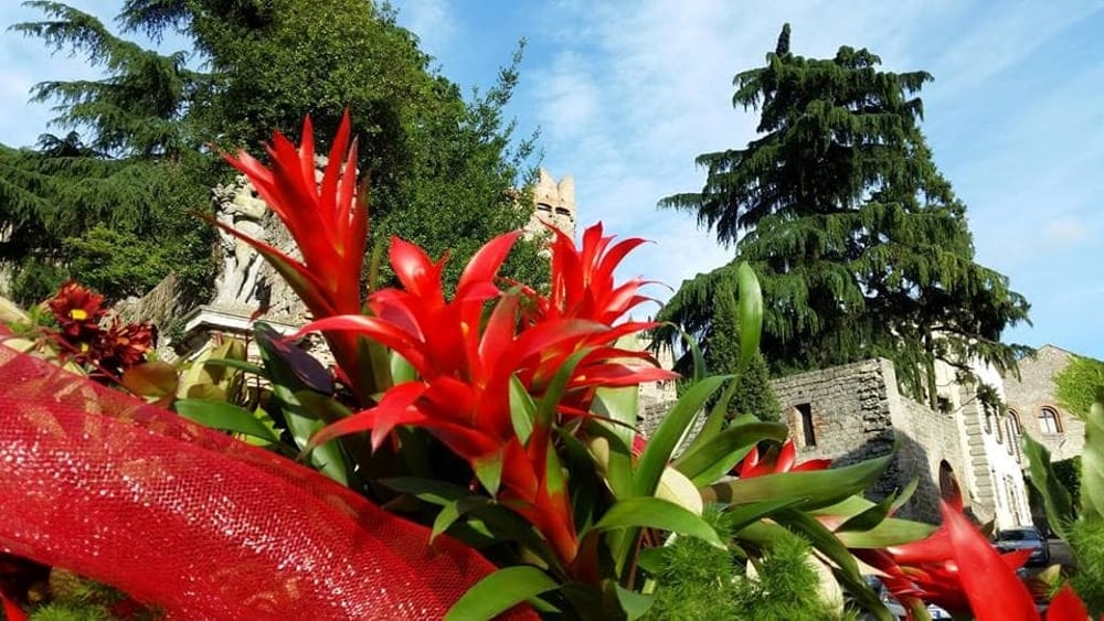 Le printemps dans toute sa splendeur : le rendez-vous avec « La Rocca in Fiore » est de retour