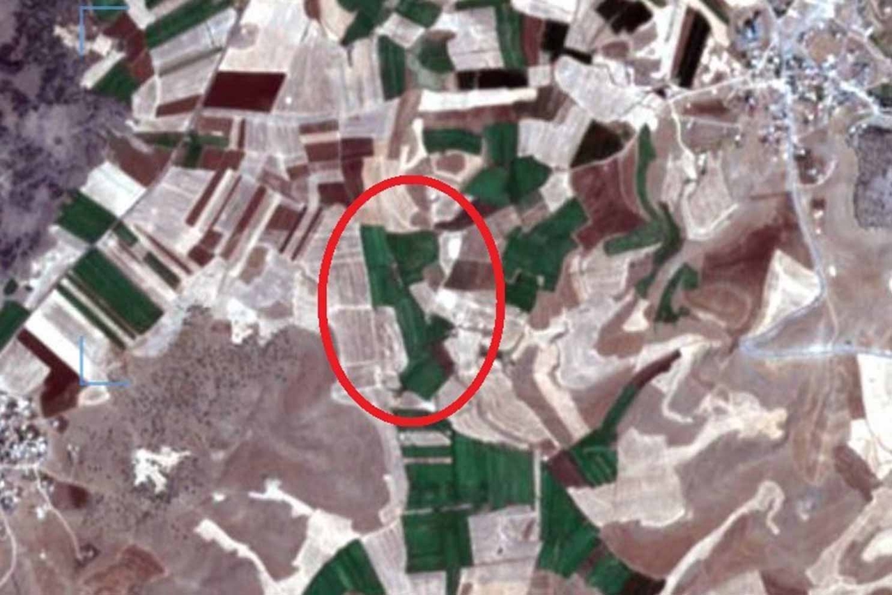 Questa volta l'elettricità illegale è stata catturata da un satellite