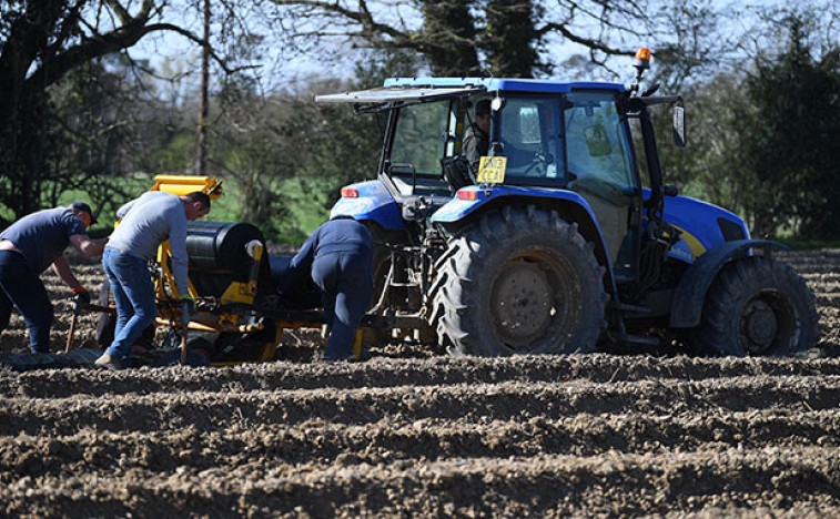Pozostałość inteligencji, namaszczona przez Brytyjczyków, jest szkodliwa i właśnie nastawiona na krowy