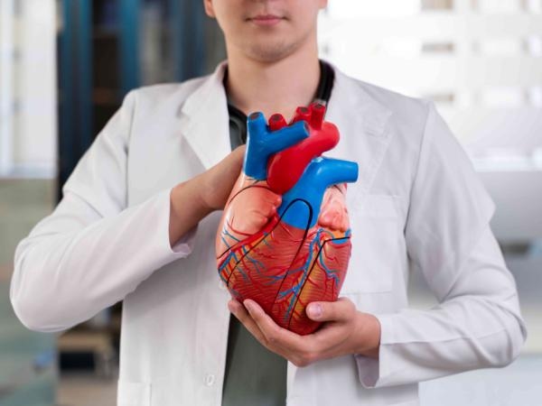 Quer cuidar do seu coração? A neurociência tem 9 recomendações pouco conhecidas.