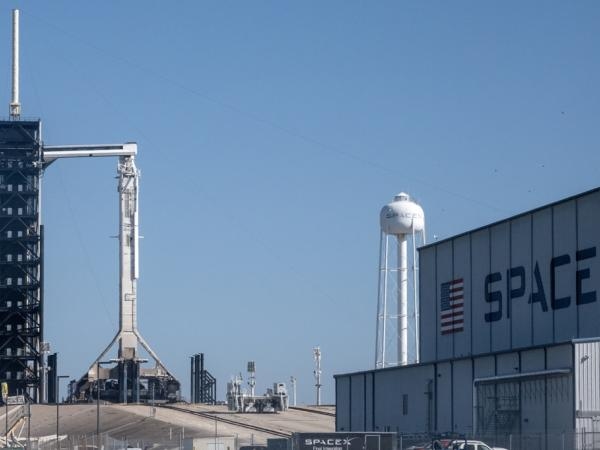 Na meksykańskiej plaży pośród wraków SpaceX żyją zagrożone wyginięciem żółwie.