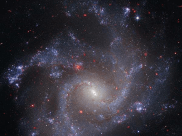 ¿El Universo es una simulación computarizada? Esto plantea nueva teoría