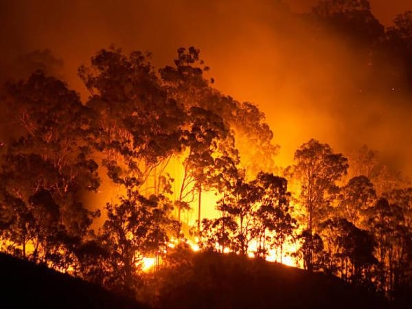 Es gibt Anlass zur Sorge: Die lateinamerikanische Stadt, in der der Klimawandel gnadenlos ist