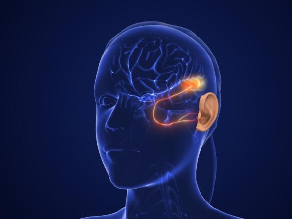 So beeinflussen Gehör und Gleichgewicht das Lernen und die psychische Gesundheit