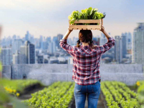 Conflitti, clima e povertà aggravano l'insicurezza alimentare in Colombia.