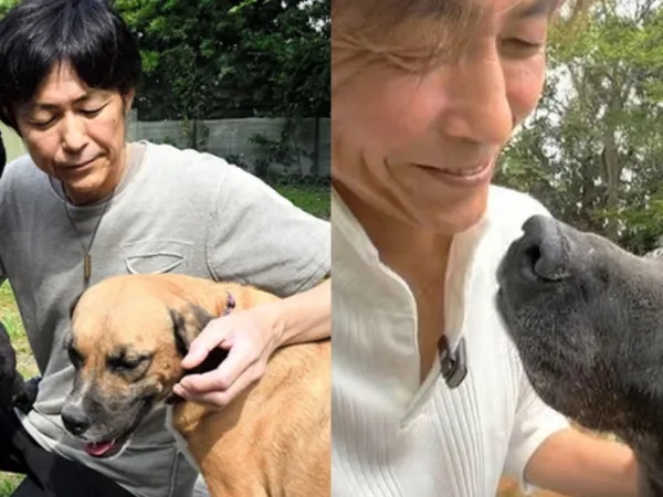 Yürek ısıtan: Köpek onu depresyondan kurtardı, Ferrari'sini sattı ve bir barınak açtı