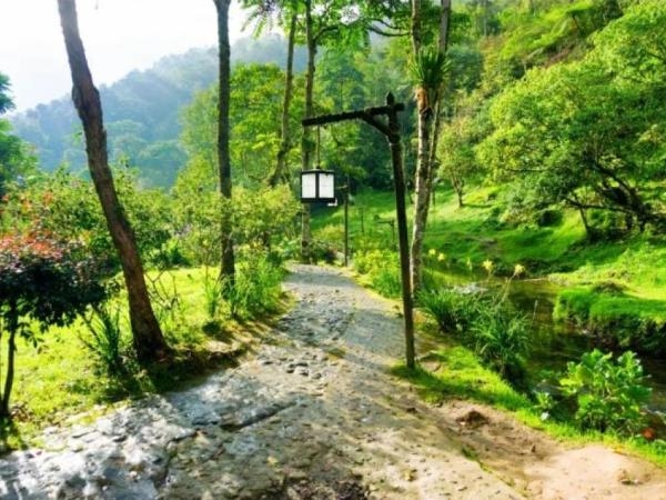 Sorgenti termali e caffè squisito: la cittadina colombiana ricca di piaceri