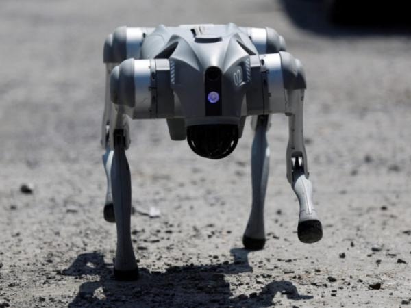 Hayvanlara yönelik zulmü sona erdirmeyi amaçlayan yapay zeka destekli robot köpek Waldog