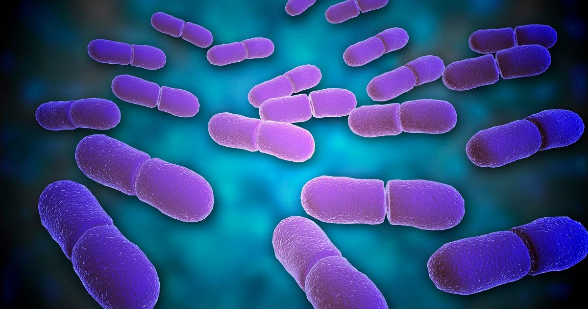 Carrefour Italia ritira tre prodotti per rischio microbiologico da listeria