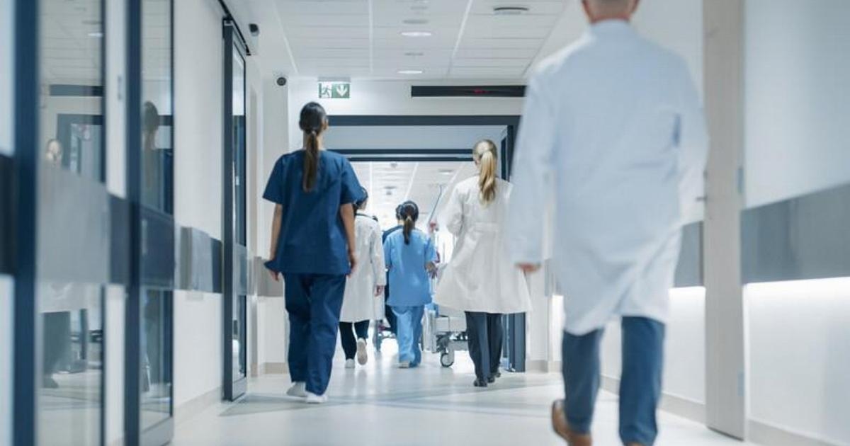 Hantavirus, l'allarme dei medici ospedalieri: "Il sistema non reggerebbe oggi una nuova pandemia"