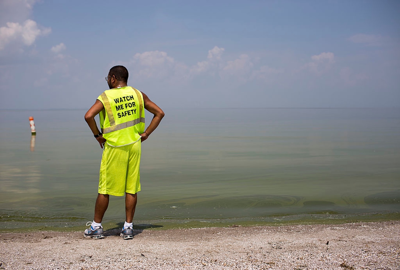Toxic algae season is back — and Trump has cut safeguards