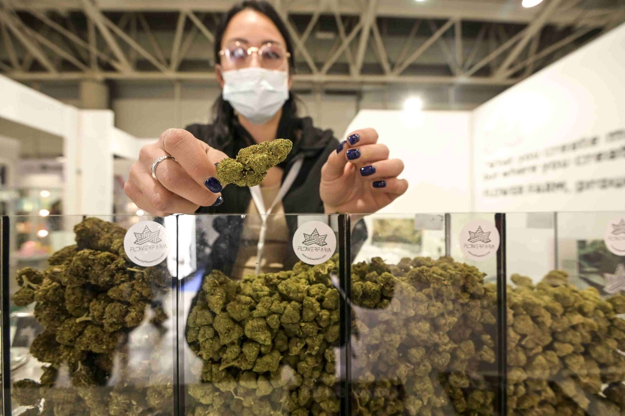 Admissões em prisões: aumento de admissões relacionadas com drogas