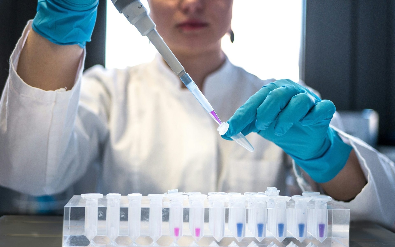 Experiencia de voluntariado en el campo de la investigación del cáncer