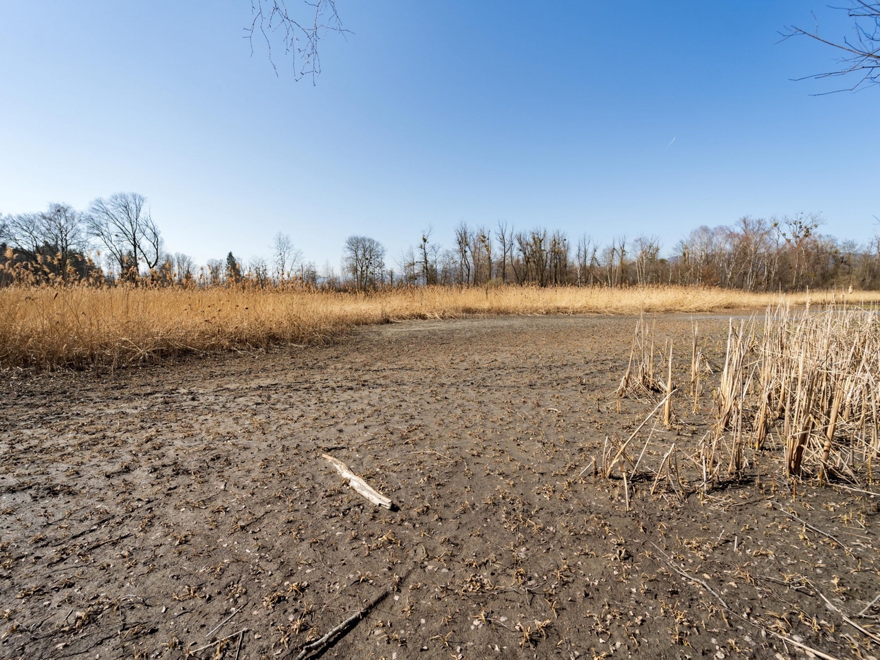 New analysis warns: Vorarlberg's rivers are losing water dramatically