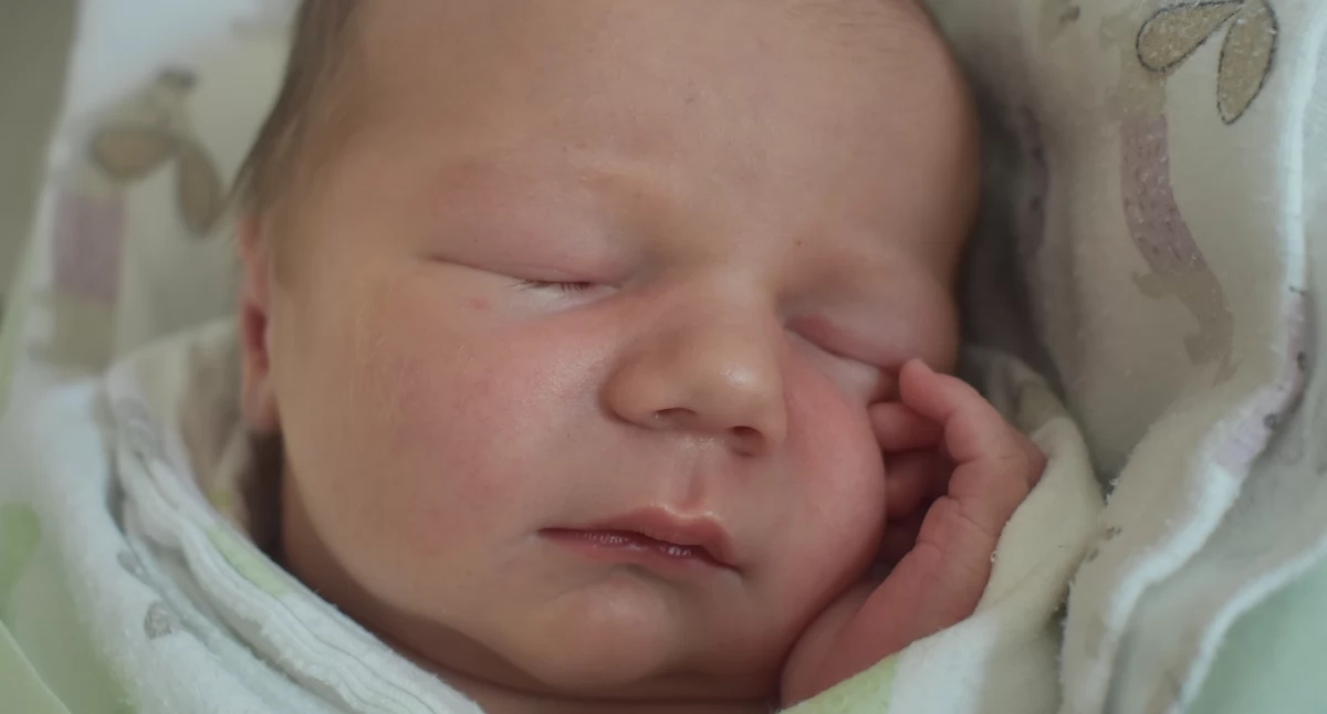 BABY VAN HET LEVEN (baby's van nummer ŻP 24 van 11 juni)