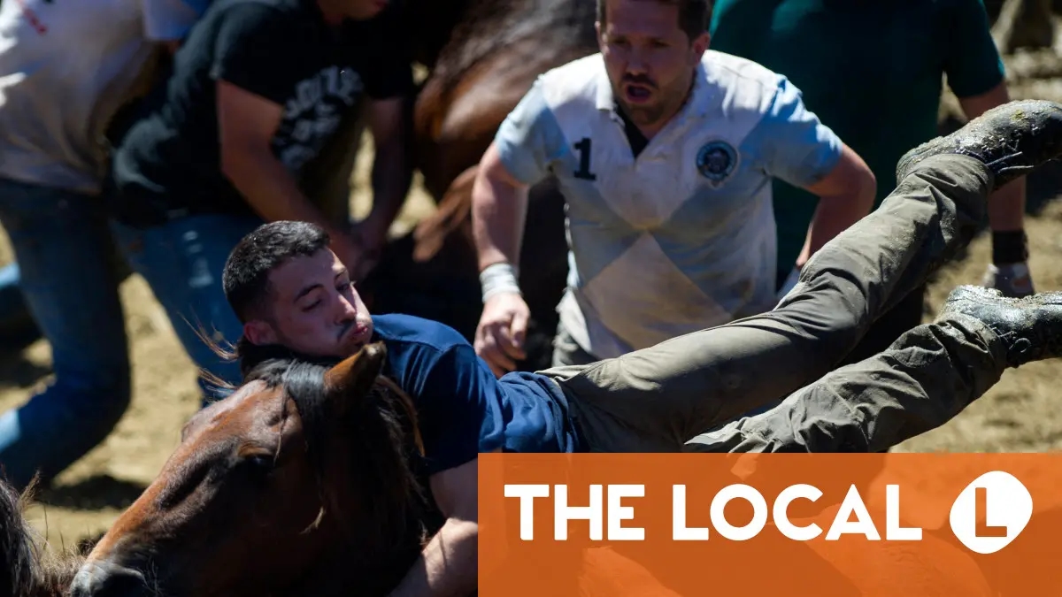 Rapa das Bestas: Why men wrestle horses at Spain's 'Shearing of the Beasts'