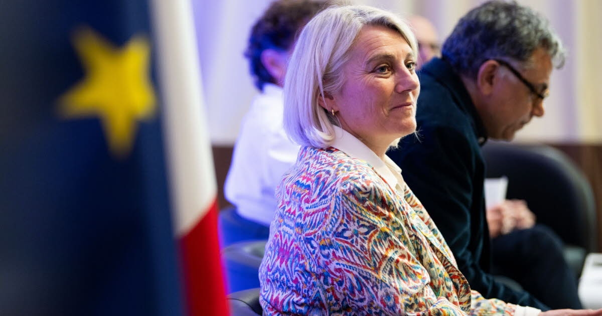 Santé. Hantavirus : « La totalité des cas contact » en France « testés négatifs », mais restent isolés