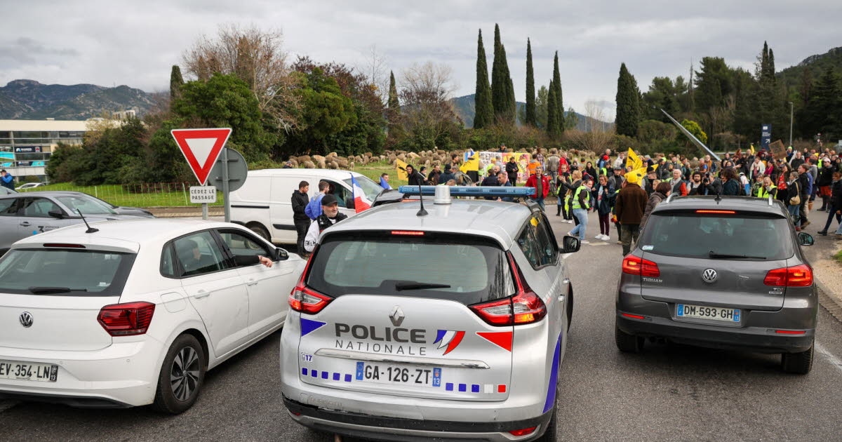 Agriculture. Colère agricole : pas de « trêve » à l'approche de Noël, nouveau cas de dermatose