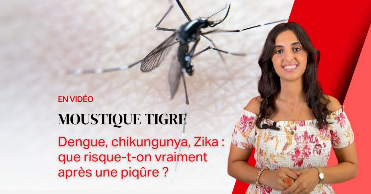 Quetigny. Lutter contre le moustique-tigre : quelques recettes