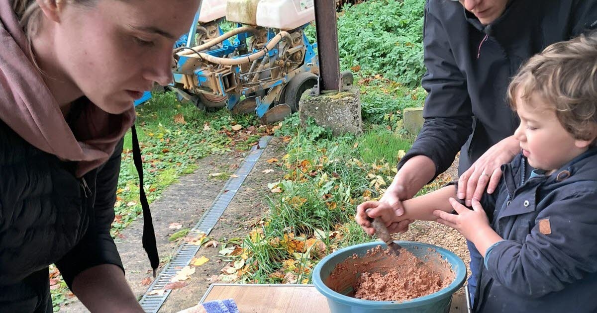 Бернекур. Строит гнёзда для ласточек по возвращении.