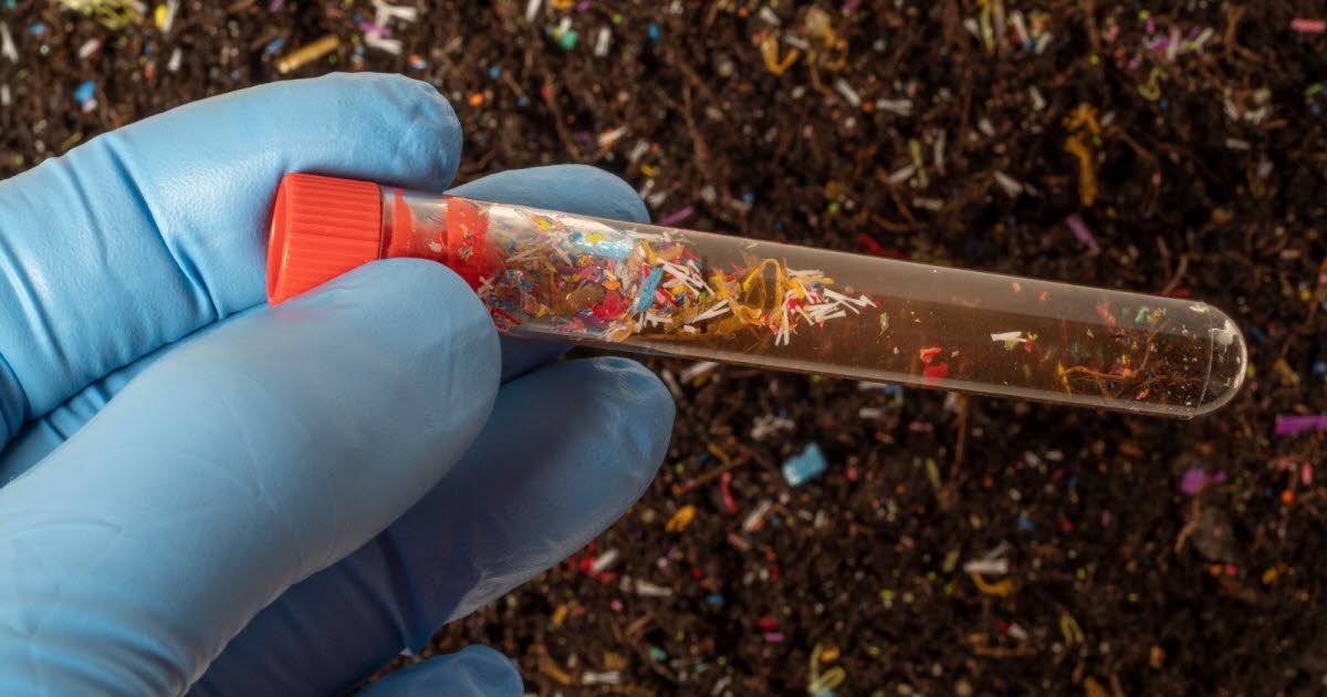 Salud. Microplásticos capaces de modificar la microbiota intestinal.